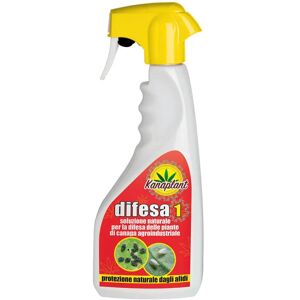 KANAPLANT Insetticida naturale  Difesa 2 500 ml