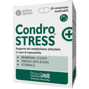 Innovet Italia Condrostress +60cpr Mastic