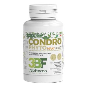 TREBIFARMA CONDROPHYTO 60CPR 2G