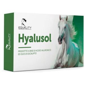 EQUALITY Srl HYALUSOL 10FL 8ML