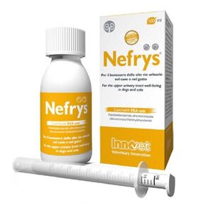 innovet Nefrys veg sciroppo con siringa dosatrice 100ml