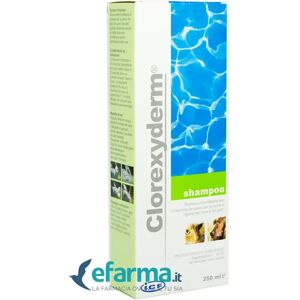 CLOREXYDERM Icf Shampoo Disinfettante Cani E Gatti 250 Ml