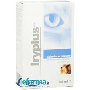 Icf Iryplus Soluzione Oculare Cani E Gatti 50 Ml