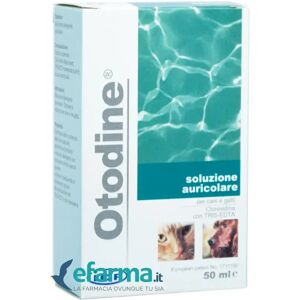 OTODINE Icf Soluzione Detergente Auricolare Cani E Gatti 50 ml