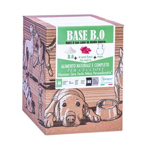 Nutrigene BASE B.0 per cuccioli 3 Kg