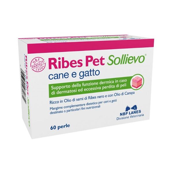 n.b.f. lanes srl ribes pet sollievo 60 perle