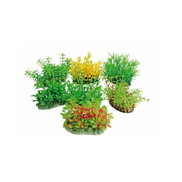 amtra croci tropical plant series cm.8