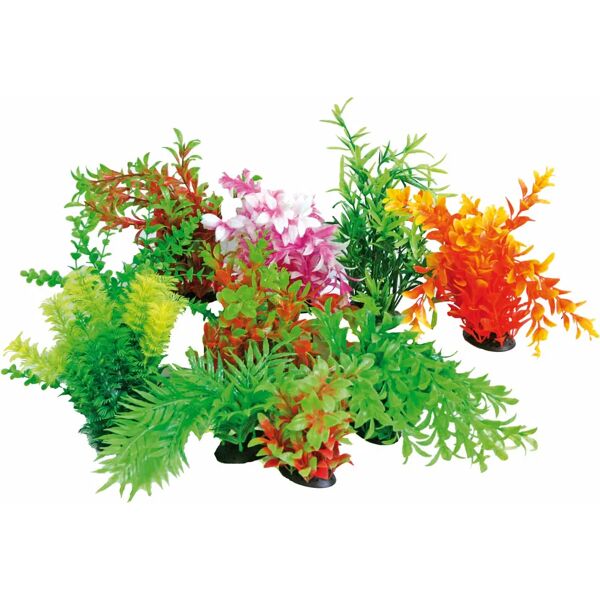 amtra tropical plant 22-25cm 1 pz