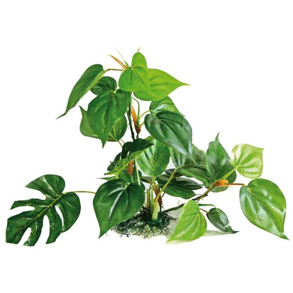 amtra plant replica anubias cm.30