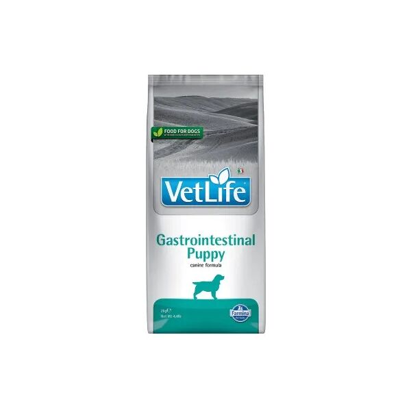 farmina vet life puppy intestinal 2kg