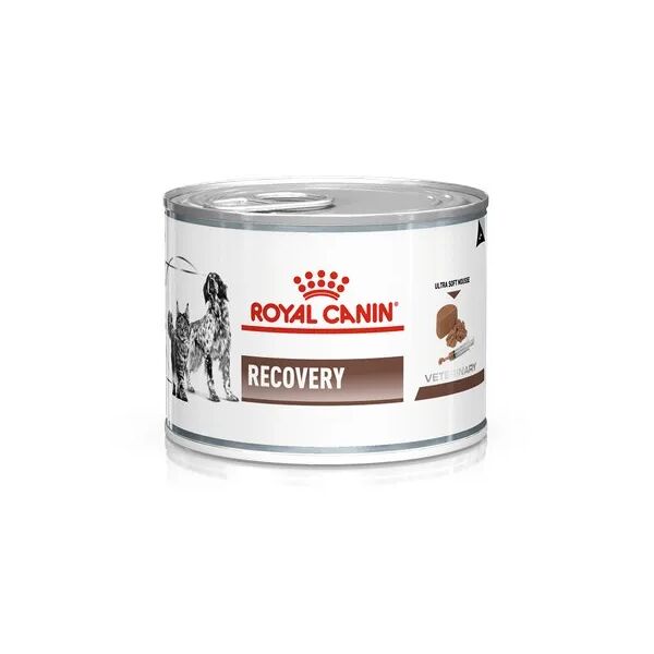 royal canin v-diet recovery cane e gatto 195g