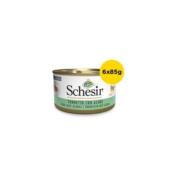 schesir cat lattina multipack 6x85g tonnetto con alghe