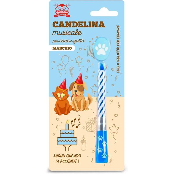 coltivia candelina musicale maschio 1 pz