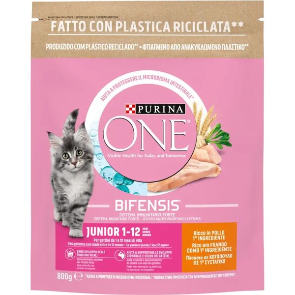 purina one gatto junior pollo e cereali 800g