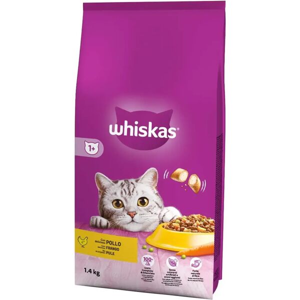 whiskas secco gatto adult 1+ pollo 1.4kg