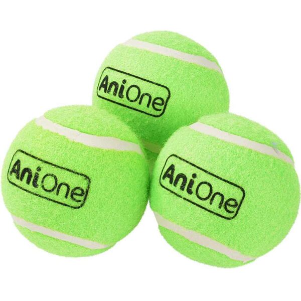 anione palline da tennis 3pz