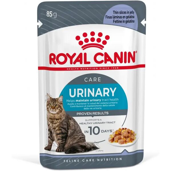 royal canin cat care urinary in gelatina busta multipack 48x85g carni e derivati