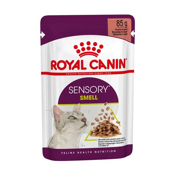 royal canin cat sensory smell in salsa busta multipack 48x85g carni e derivati