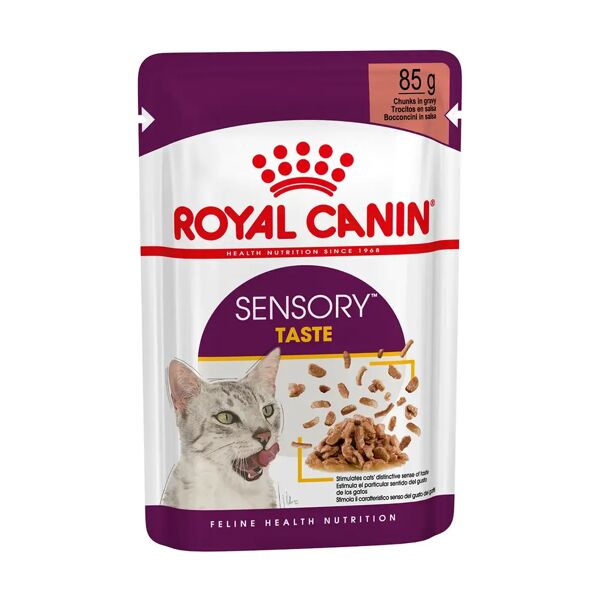 royal canin cat sensory taste in salsa busta multipack 48x85g carni e derivati