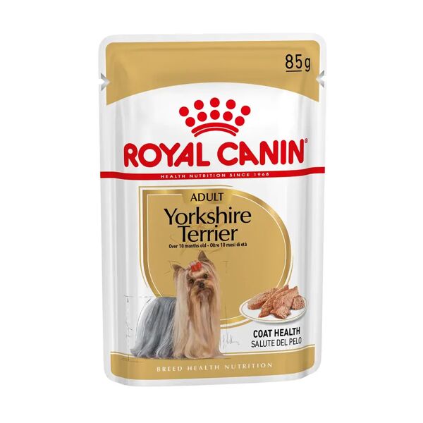 royal canin yorkshire terrirer dog busta multipack 48x85g carni e derivati