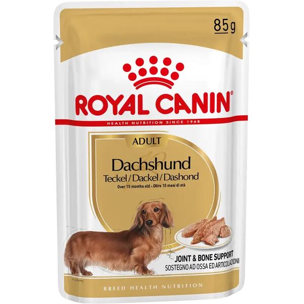 royal canin bassotto dog busta multipack 48x85g carni e derivati