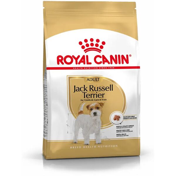 royal canin jack russell adult 3kg