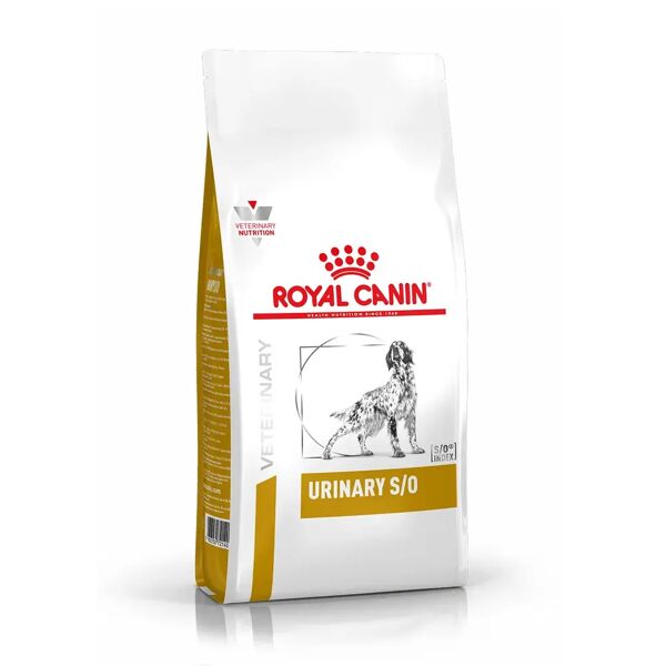 royal canin v-diet urinary s/o cane 2kg
