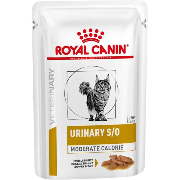 royal canin v-diet urinary s/o moderate calorie multipack gatto 12x85g