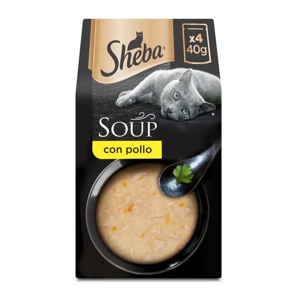 sheba soup cat busta multipack 4x40g pollo