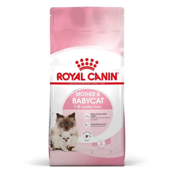 royal canin mother & babycat alimento completo per gatte e gattini da 1 a 4 mesi di età 2kg