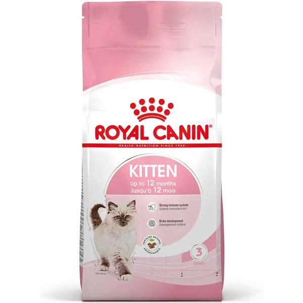 royal canin kitten alimento completo per gattini fino a 12 mesi di età 10kg