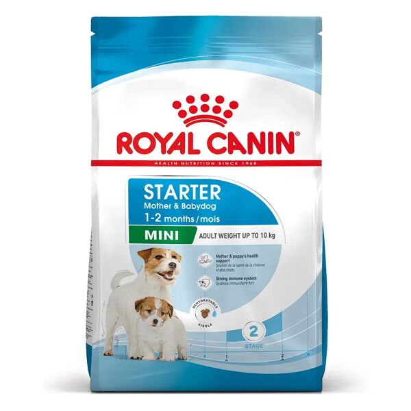 royal canin mini starter m&b alimento completo per cagne di taglia piccola fino a 10 kg ed cuccioli in svezzamento fino a 2 mesi di età 1kg