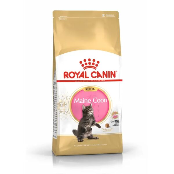 royal canin maine coon alimento completo per gattini fino a 15 mesi di età 400g