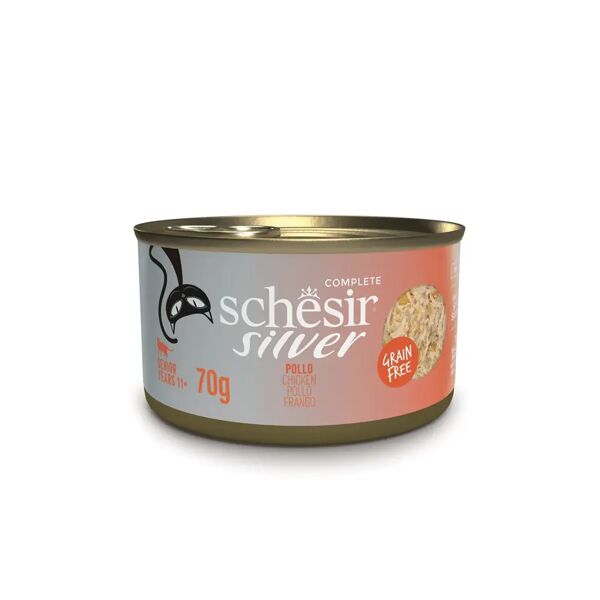 schesir silver senior 11+ lattina multipack 12x70g pollo