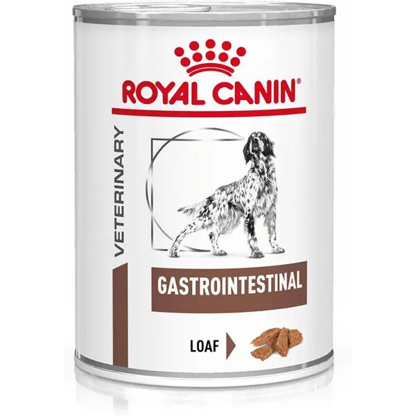 royal canin v-diet gastrointestinal low fat alimento dietetico completo per cani adulti 420g