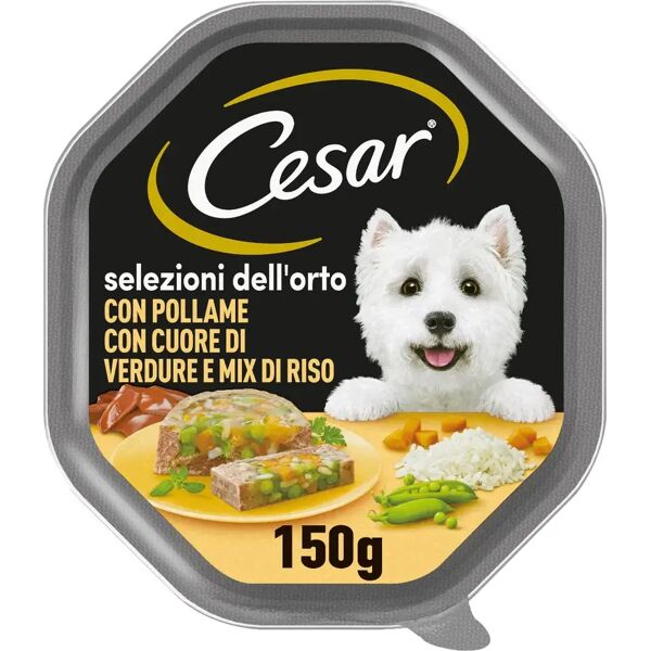 cesar dog selezioni dell'orto vaschetta multipack 14x150g pollame con cuore di verdure e mix riso