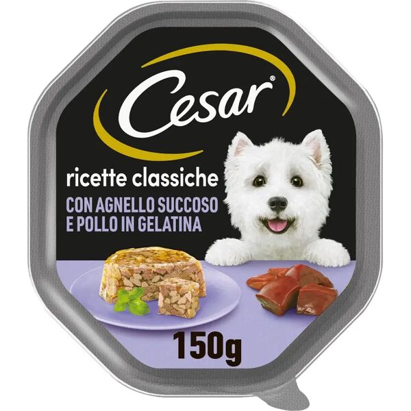 cesar dog ricette classiche vaschetta multipack 14x150g agnello e pollo