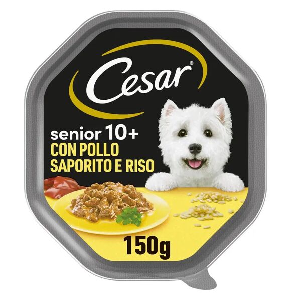cesar senior dog in salsa vaschetta multipack 14x150g pollo e riso