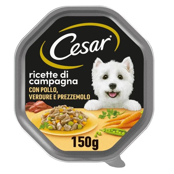 cesar dog ricette di campagna vaschetta multipack 14x150g pollo e verdure