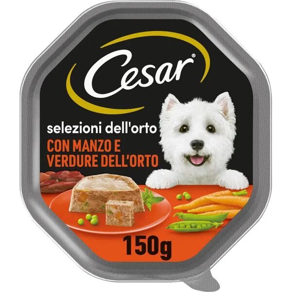 cesar dog selezioni dell'orto vaschetta multipack 14x150g manzo e verdure