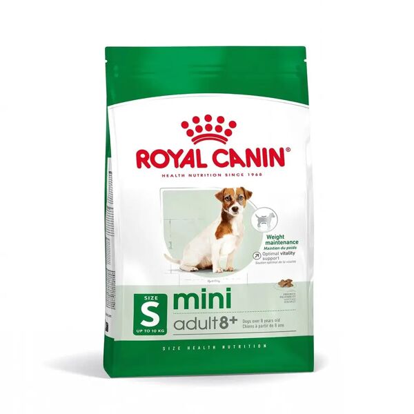royal canin mini adult 8+ alimento secco completo per cani maturi di piccola taglia 8kg