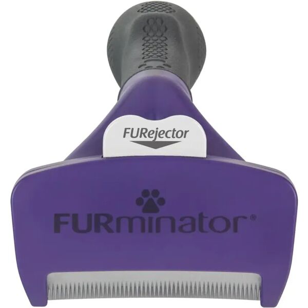 furminator per gatti a pelo corto l