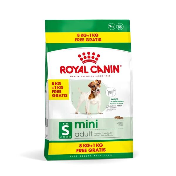 royal canin mini adult alimento completo per cani adulti di piccola taglia 8+1kg