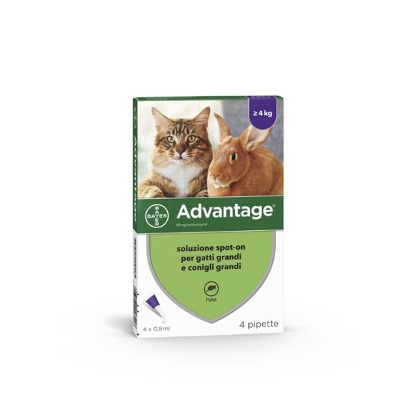 advantix advantage spot on gatti/conigli 4x80 mg   4 x 0,8ml