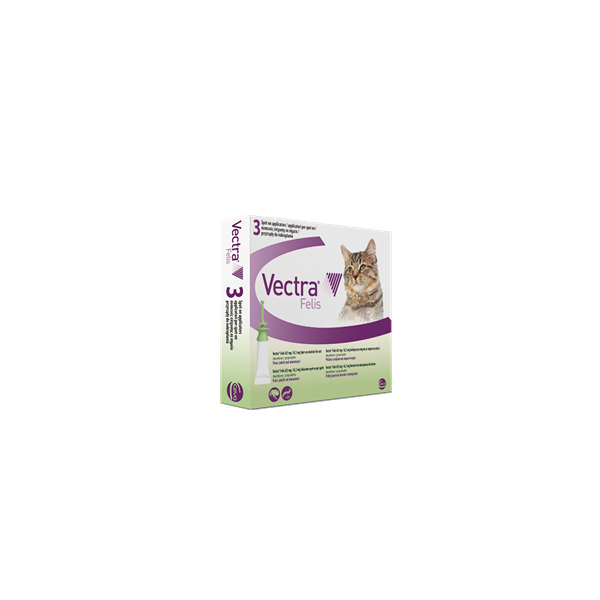 vectra felis spoton ceva 3 pipette gatto