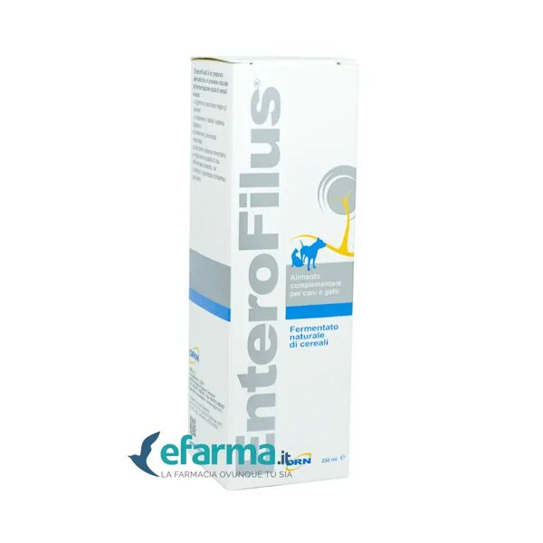 enterofilus drn mangime complementare simbiotico cani e gatti 250 ml