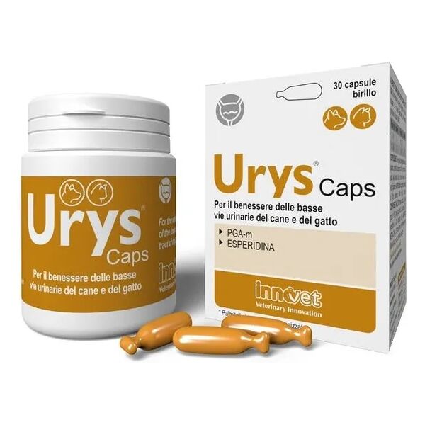 innovet urys caps integratore vie urinarie cane e gatto 30 capsule birillo