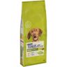 TONUS DOG CHOW Purina  Adult Pollo 2.5KG