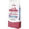 MONGE All Breeds Adult Manzo e Riso 12KG