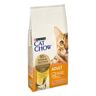 CAT CHOW Purina  Adult Pollo 10KG